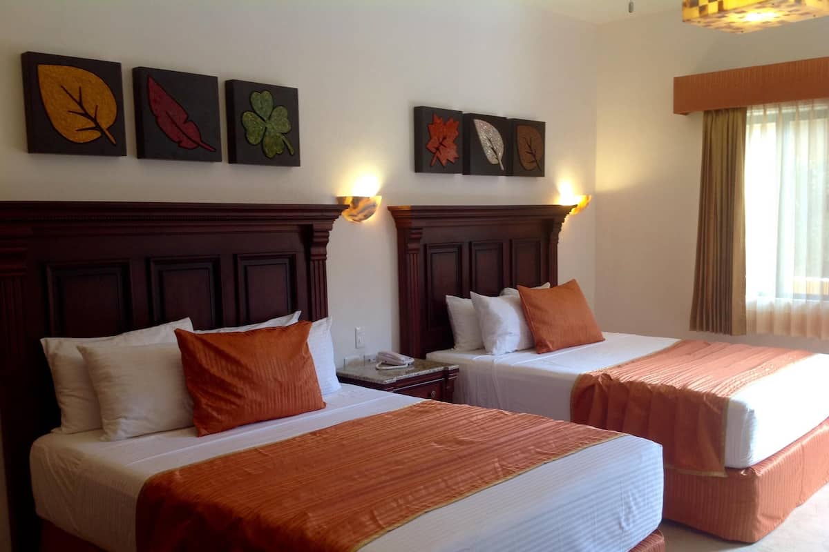 1 habitación, ropa de cama hipoalergénica y edredón