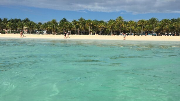Una playa con agua turquesa cristalina, palmeras y una orilla arenosa.