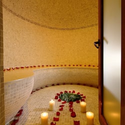 Sauna, hot tub, hydrotherapy, aromatherapy, hot stone massages