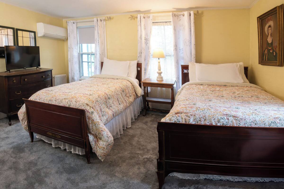 A bedroom with two wooden beds, a dresser, a television, and a painting on the wall.