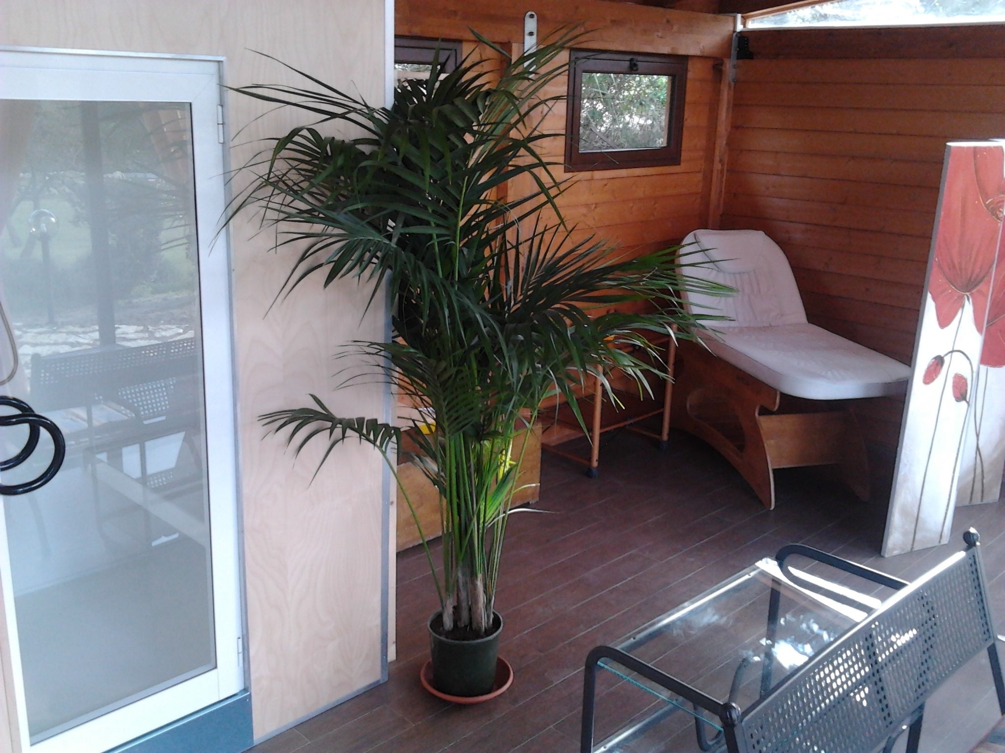 A wooden cabin with a glass door, a potted plant, a white chair, and a glass table.