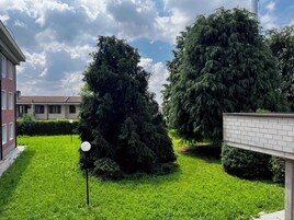 Una zona residenziale con un prato curato, grandi alberi sempreverdi e un edificio in mattoni.