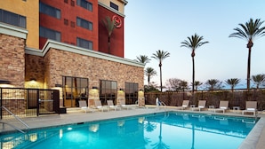 A hotel with a swimming pool, lounge chairs, and palm trees. - Sheraton Garden Grove-Anaheim South Hotel (Garden Grove)