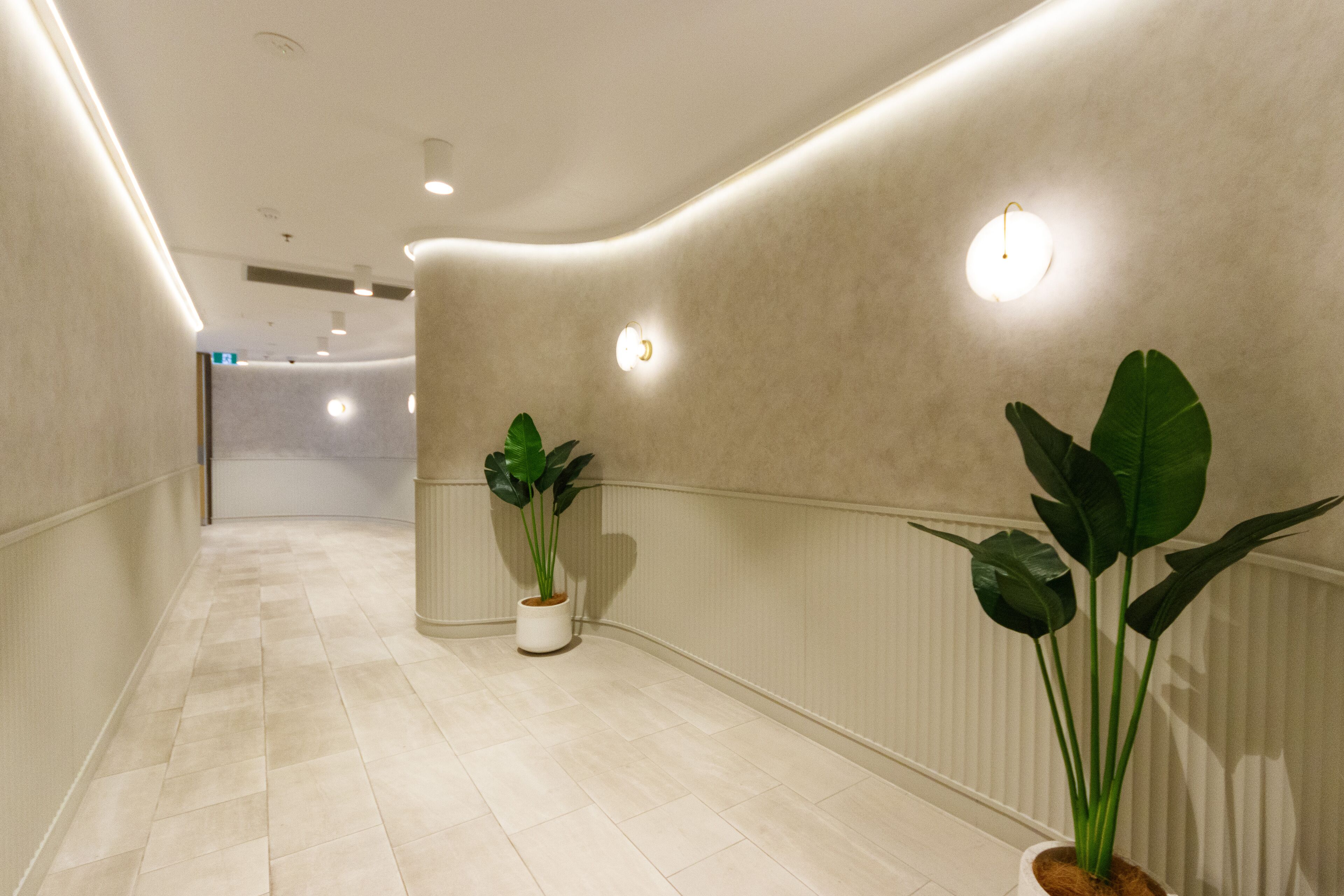 Un couloir avec un mur incurvé, des luminaires encastrés et des plantes en pot.
