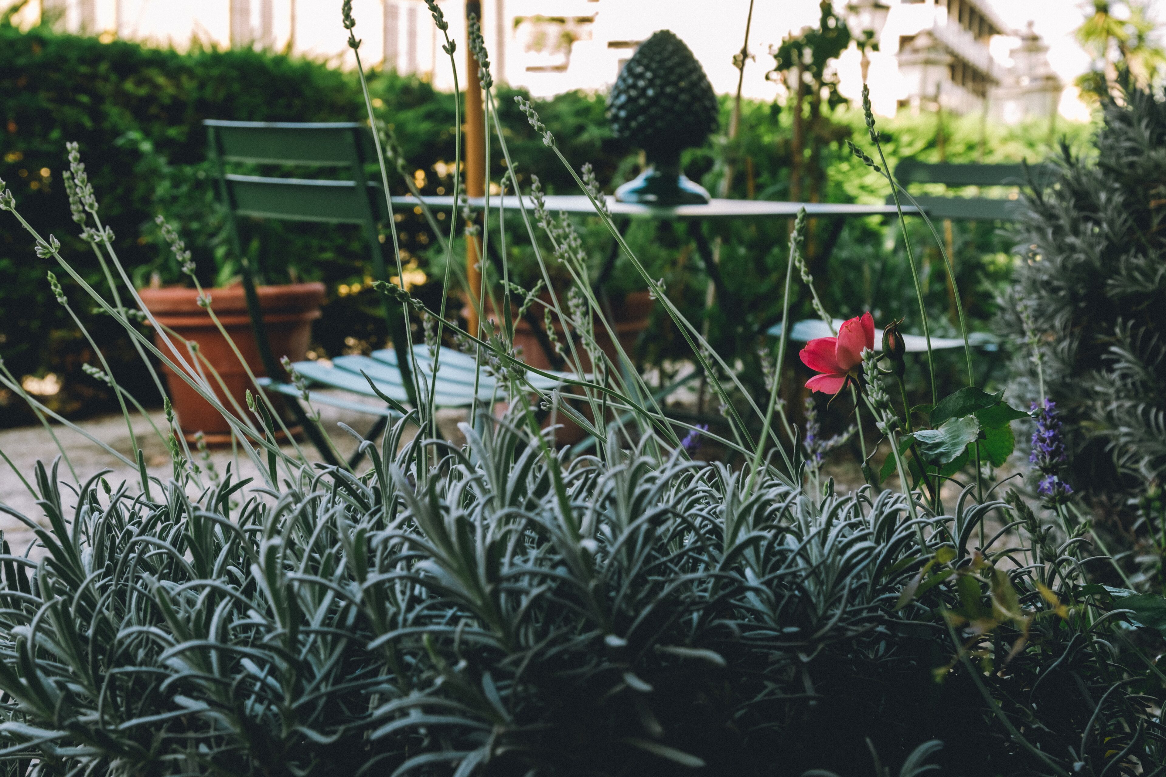 Foto - Eveline Portosole Hotel