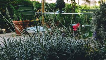 A garden with various plants and a small red flower.