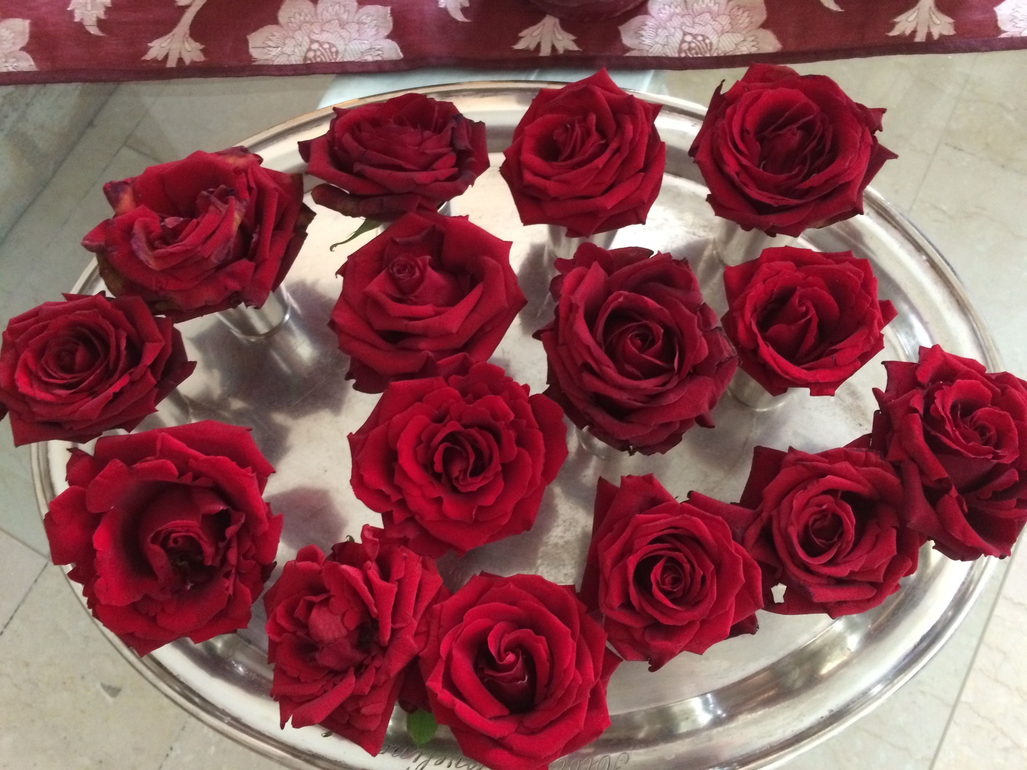 Foto - Eveline Portosole Hotel