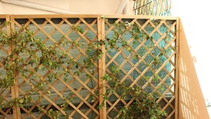A patio with a wooden table and chairs, a potted plant, and a lattice fence. - Sette Angeli Rooms (Florence)