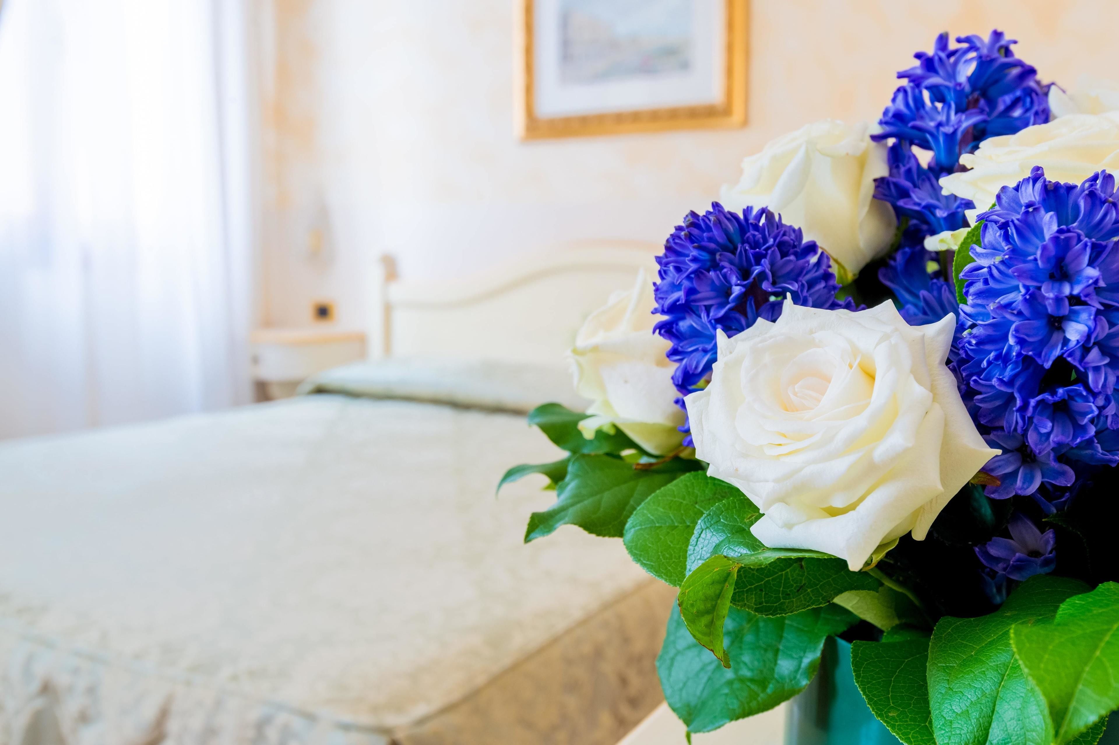 Photo - Hotel Mercurio