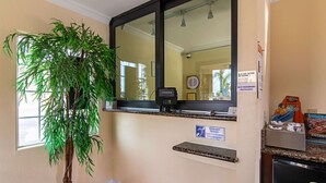 A hotel room with a large potted plant, a coffee machine, a refrigerator, and a sign indicating Wi-Fi availability.