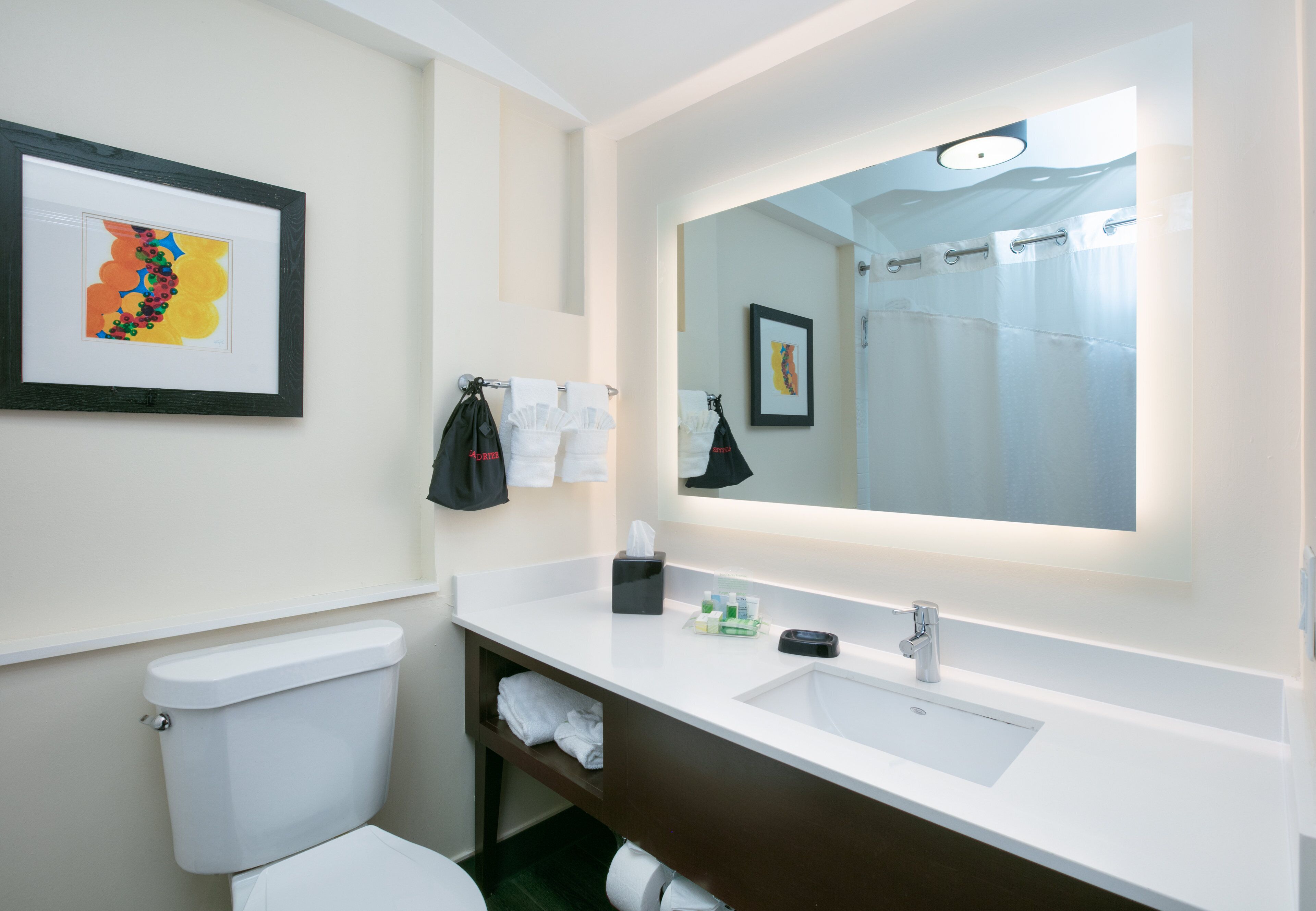 combined shower/bathtub, hydromassage showerhead, free toiletries