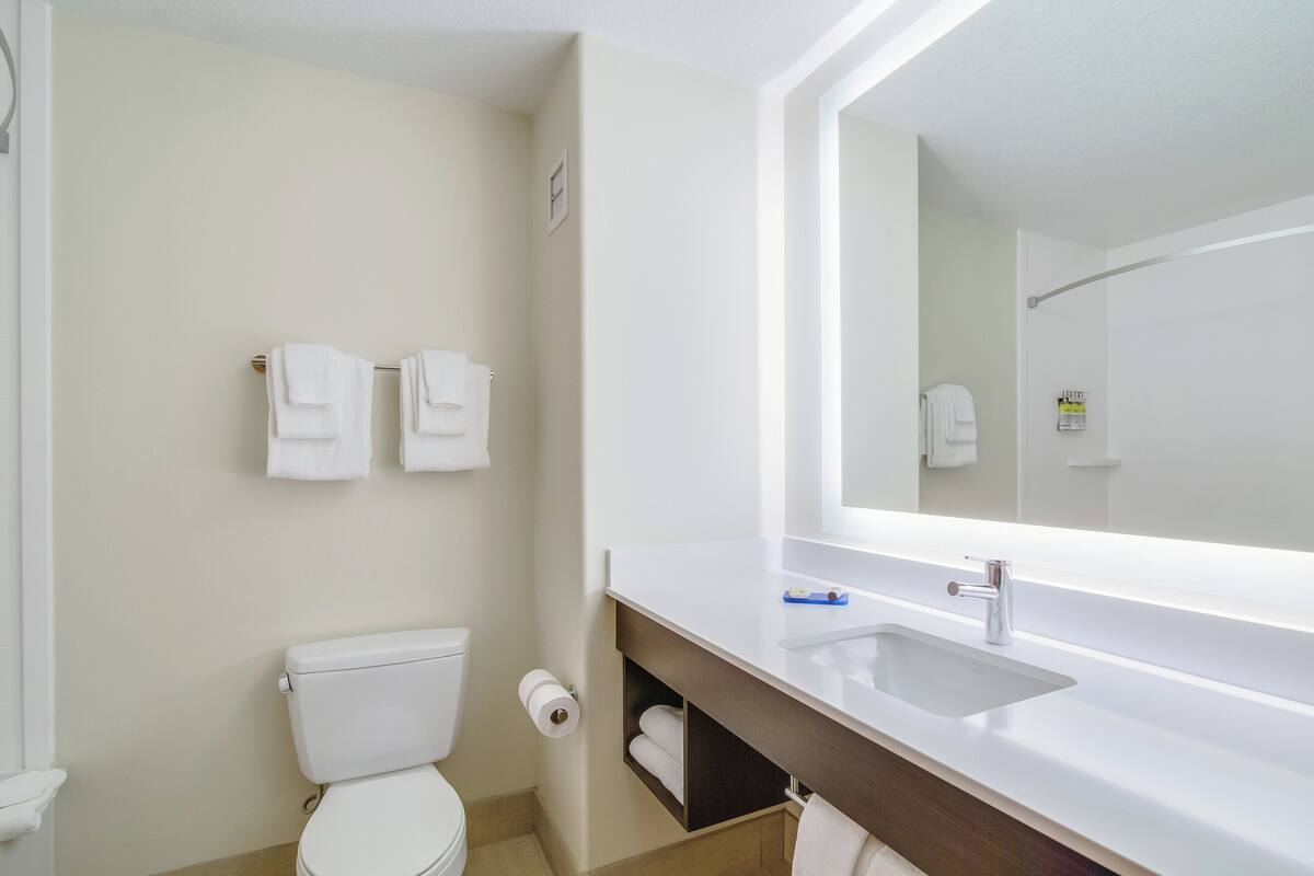 A modern bathroom with a toilet, a sink, and a large mirror.
