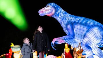A large illuminated sculpture of a bird-like creature.