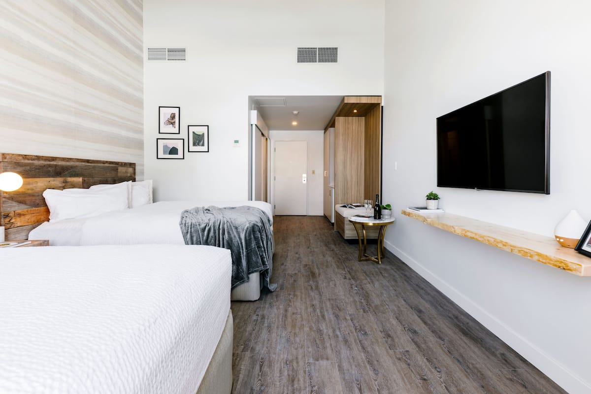 Habitación de hotel con dos camas, televisión, una mesita y un estante con una planta.