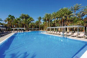 A large, clear swimming pool with sun loungers and palm trees in the background.