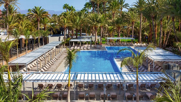 Un espace piscine agrémenté de chaises longues et de parasols, entouré de palmiers.