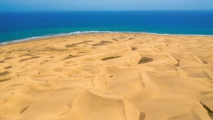 Una extensa playa arenosa con dunas ondulantes y un océano azul claro al fondo.