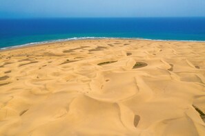 Beach nearby, sun-loungers, beach umbrellas - Hotel Riu Palace Maspalomas - Adults Only (San Bartolomé de Tirajana)