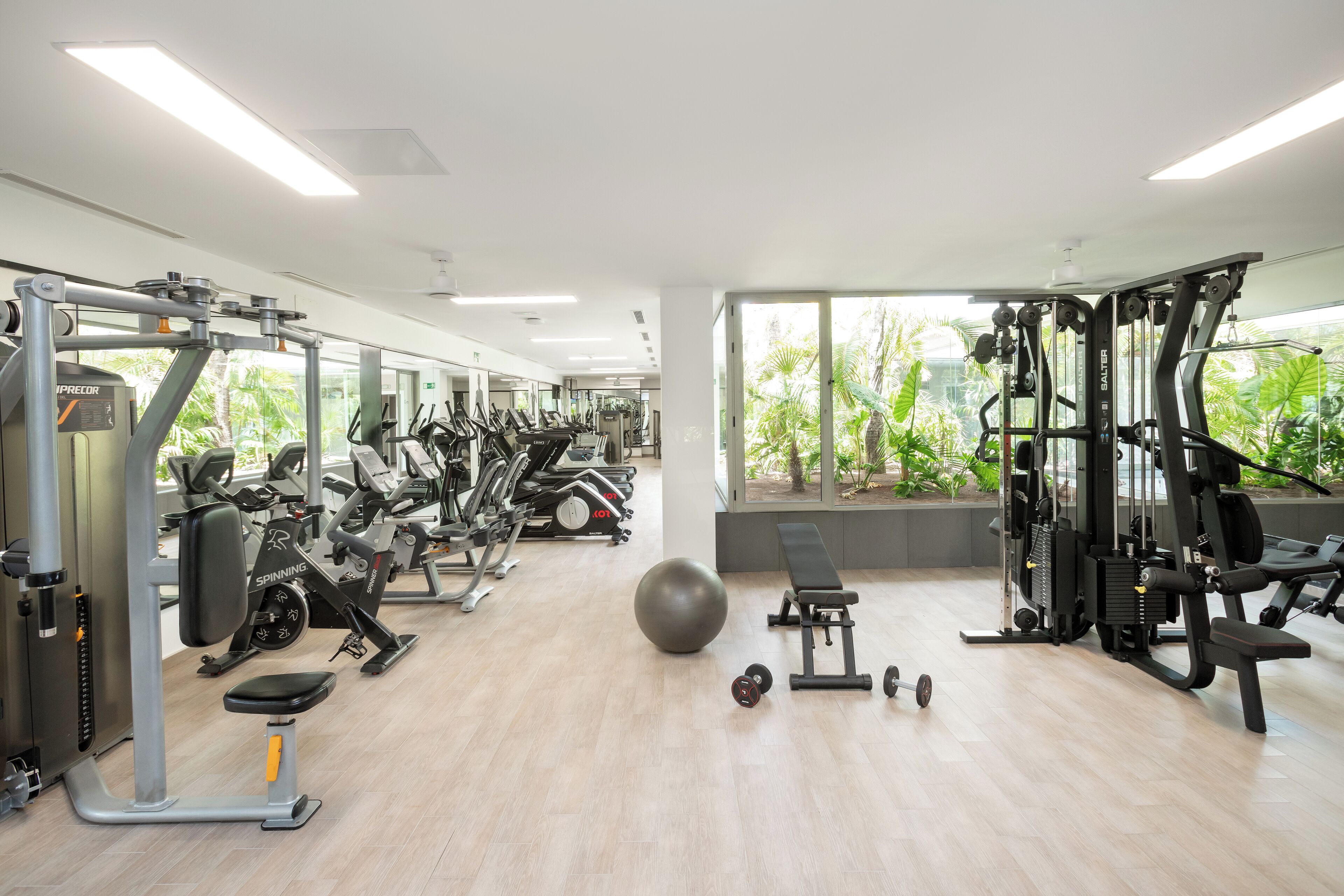 Un gimnasio con varios equipos de ejercicio, una pelota grande para ejercicio y mancuernas.