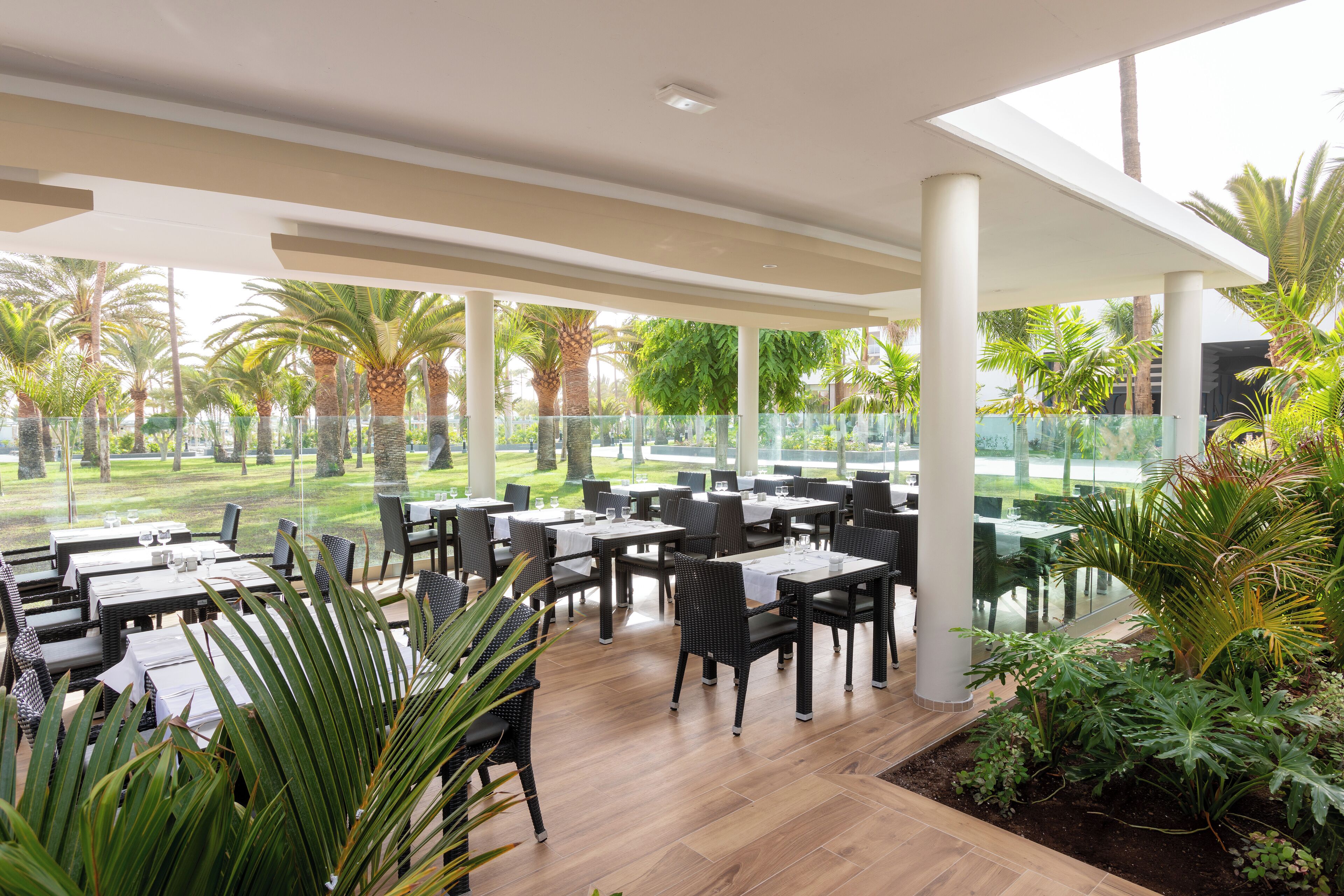 Un espace de restauration en plein air, avec des tables et des chaises, entouré de verdure et de palmiers.