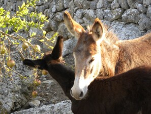 Ecotours