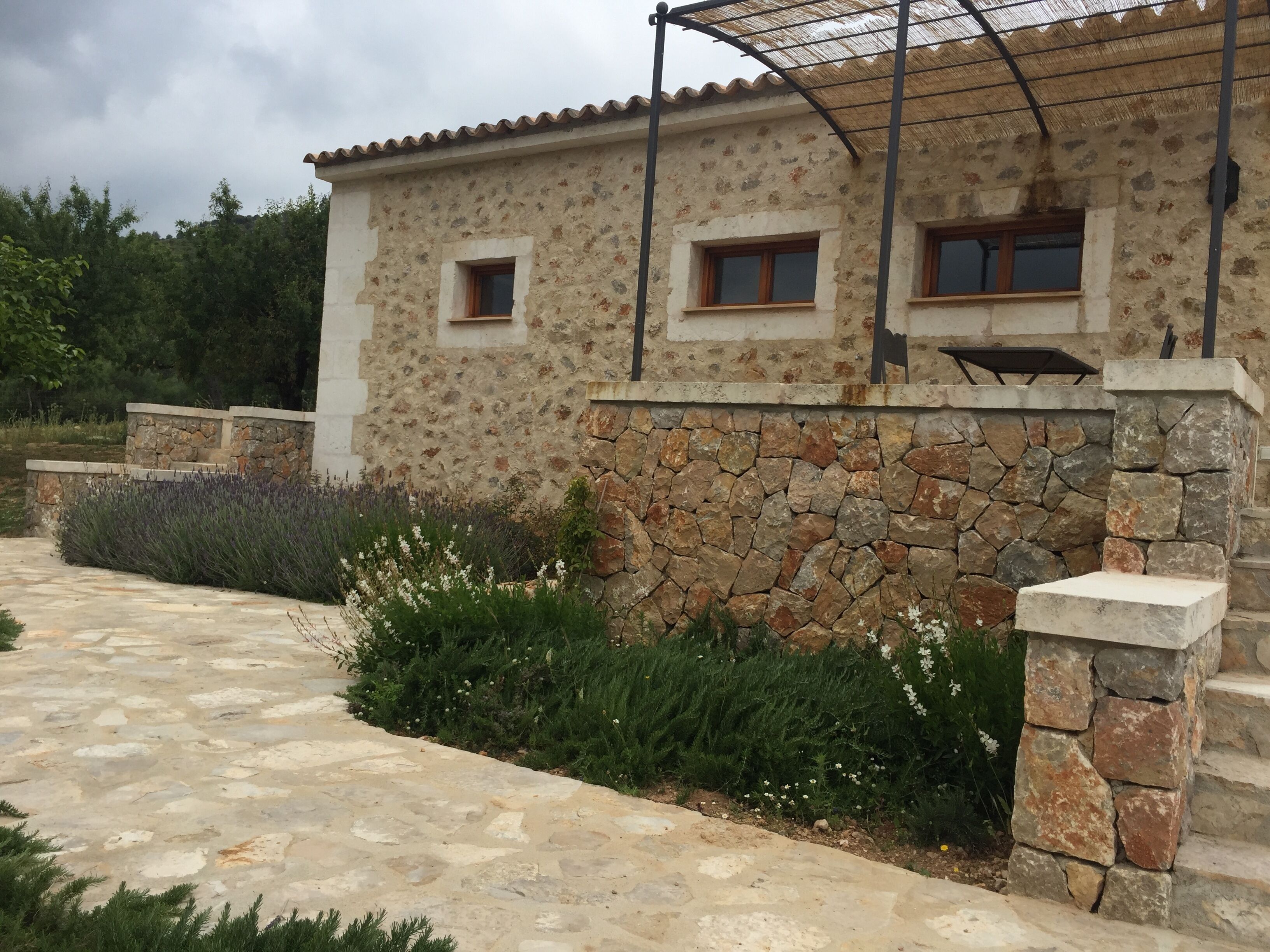 Familien-Suite | Terrasse/Patio