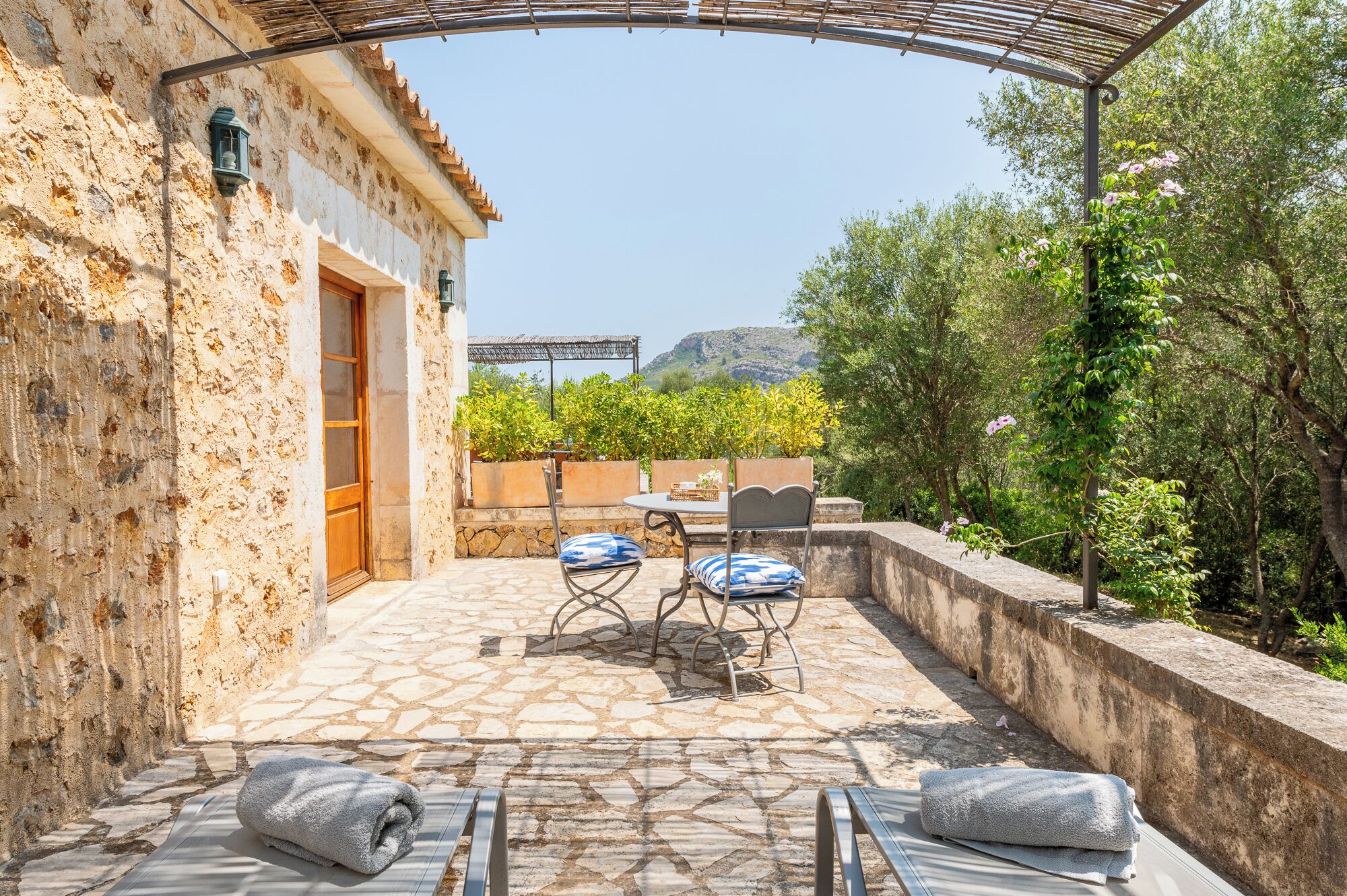 Junior Suite | Garden view
