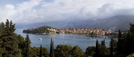 A coastal town with a harbor, surrounded by mountains and dense trees.