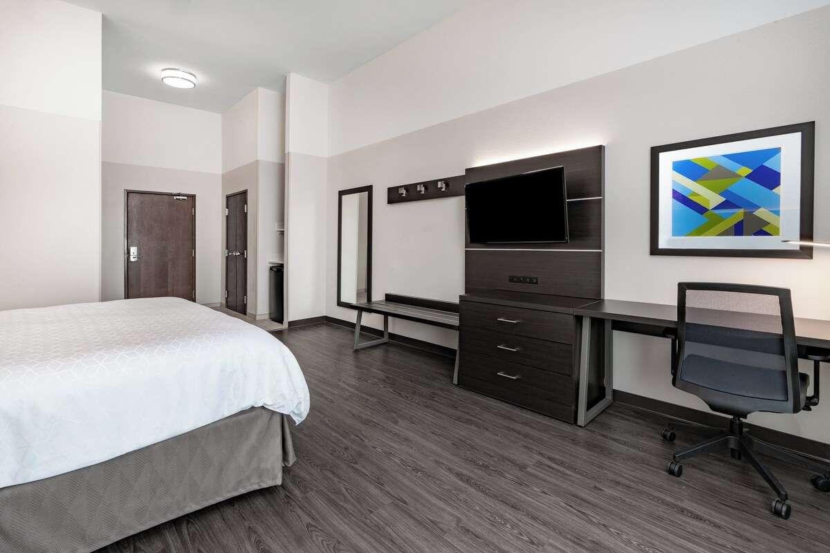 Standard Room, 1 King Bed (Pet Friendly) | Desk, iron/ironing board, cribs (free), rollaway beds (surcharge)