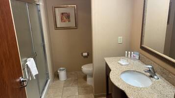 ห้องพัก, เตียงคิงไซส์ 1 เตียง, พร้อมสิ่งอำนวยความสะดวกสำหรับผู้พิการ, ปลอดบุหรี่ | ห้องน้ำ | ฝักบัวในอ่างอาบน้ำ, ของใช้ในห้องน้ำฟรี, ไดร์เป่าผม, ผ้าเช็ดตัว