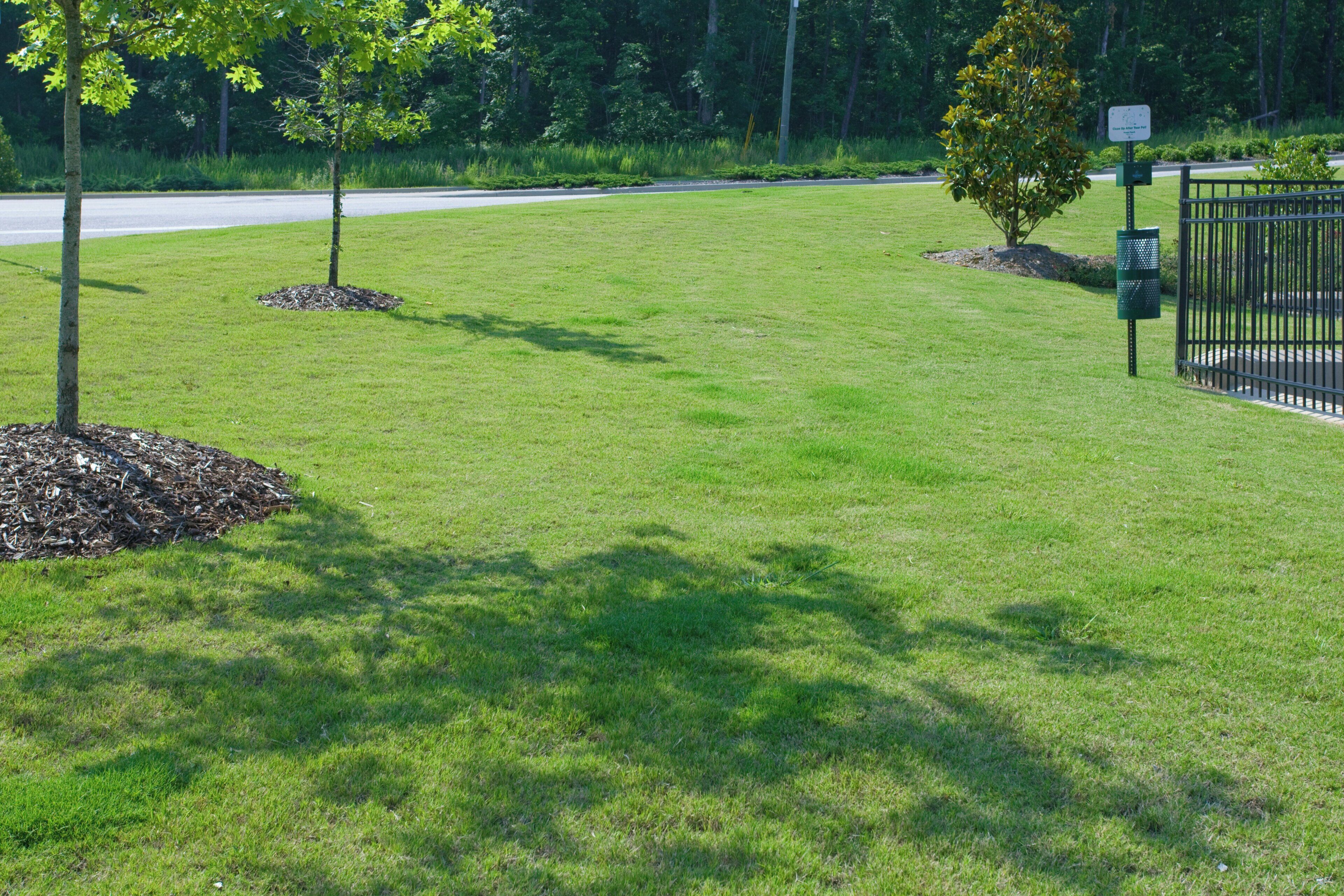 A well-maintained grassy area with a tree, a metal fence, and a signpost.