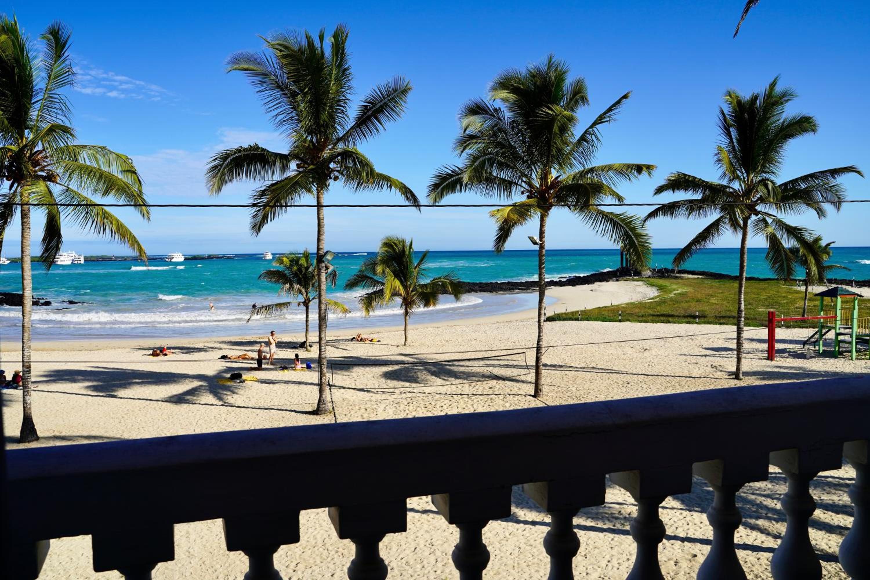 A beach with palm trees, a sandy shore, and a view of the ocean.