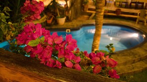 Una piscina rodeada de plantas en macetas y una terraza de madera.