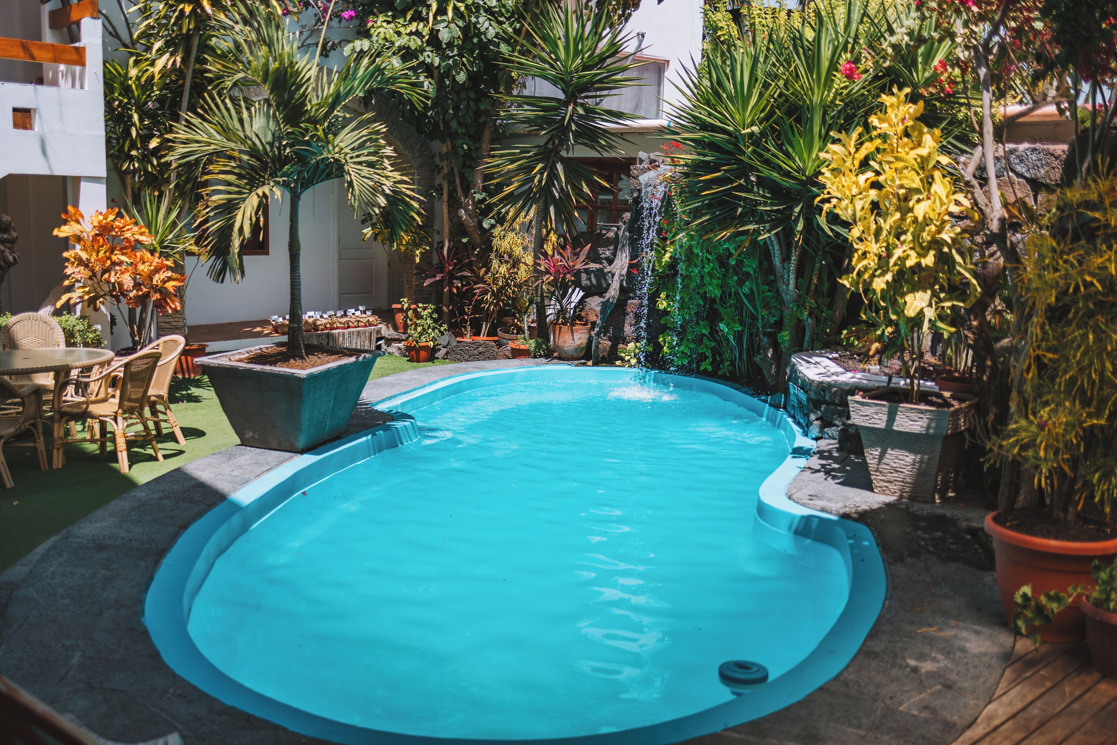 outdoor pool, pool umbrellas, pool loungers