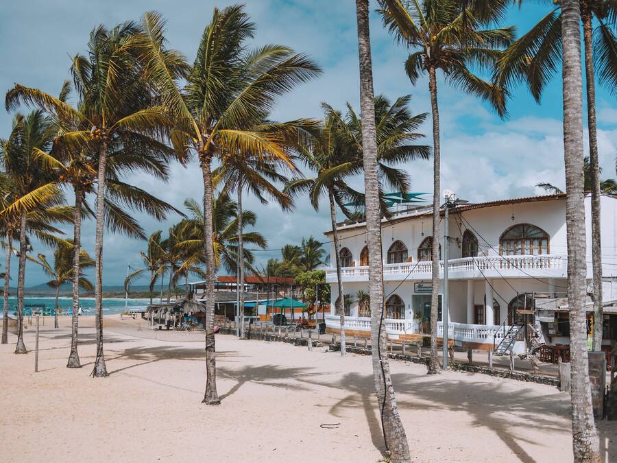 Ein Strand mit Palmen, ein Gebäude mit Balkon und Blick auf den Ozean.