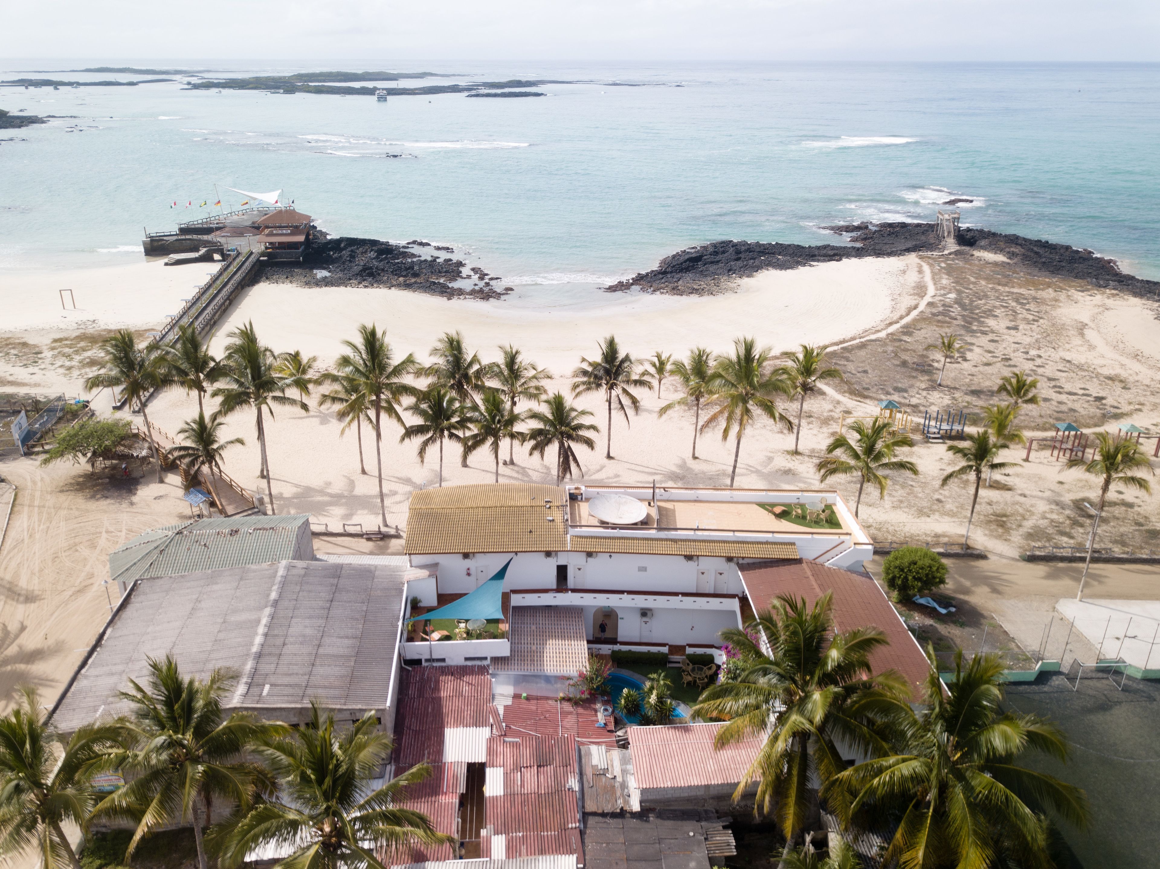 A beachside resort with a pool area, palm trees, and a view of the ocean.