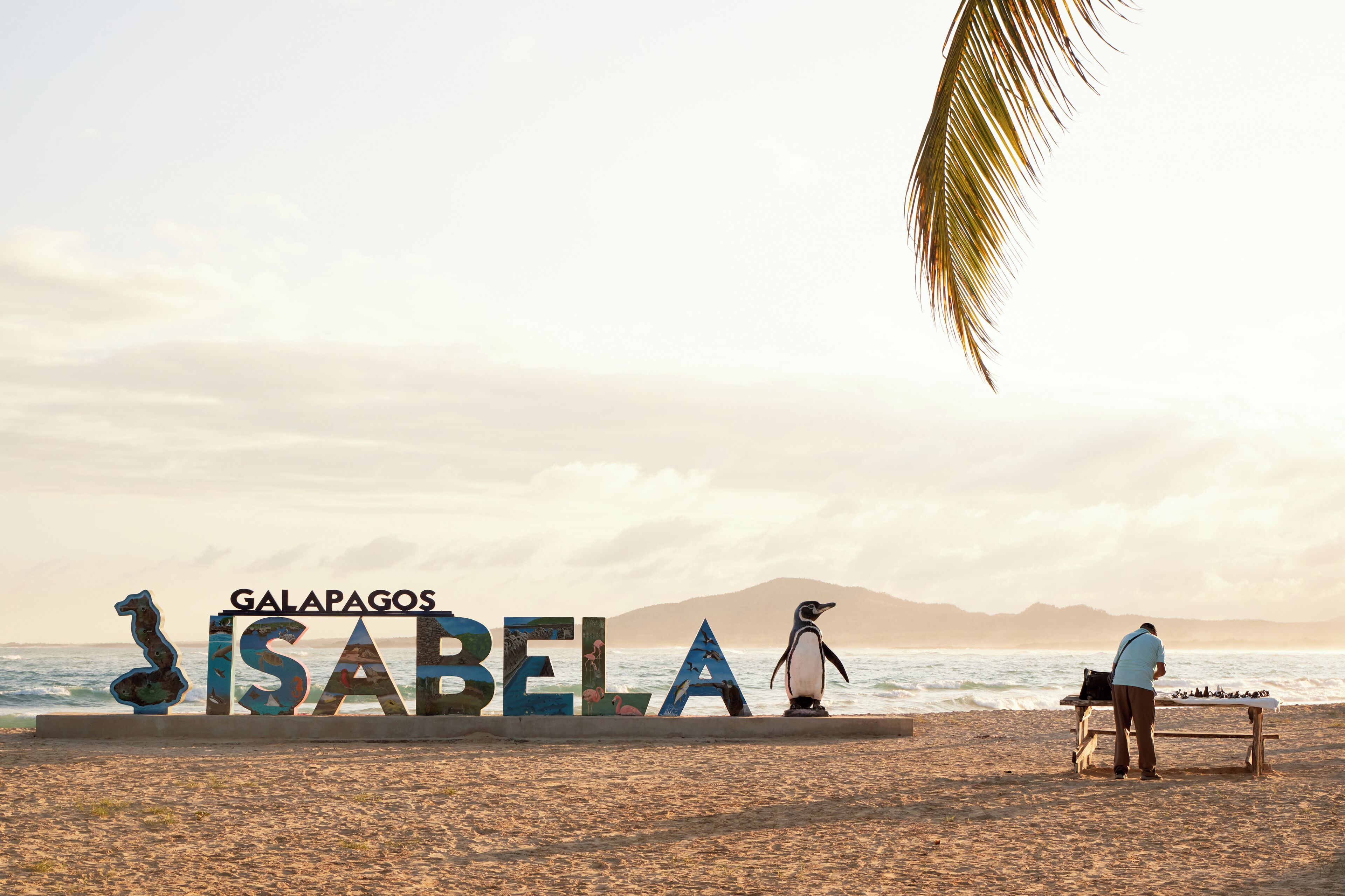 Una playa con un cartel que dice "GALAPAGOS ISABELA" y una estatua de un pingüino.