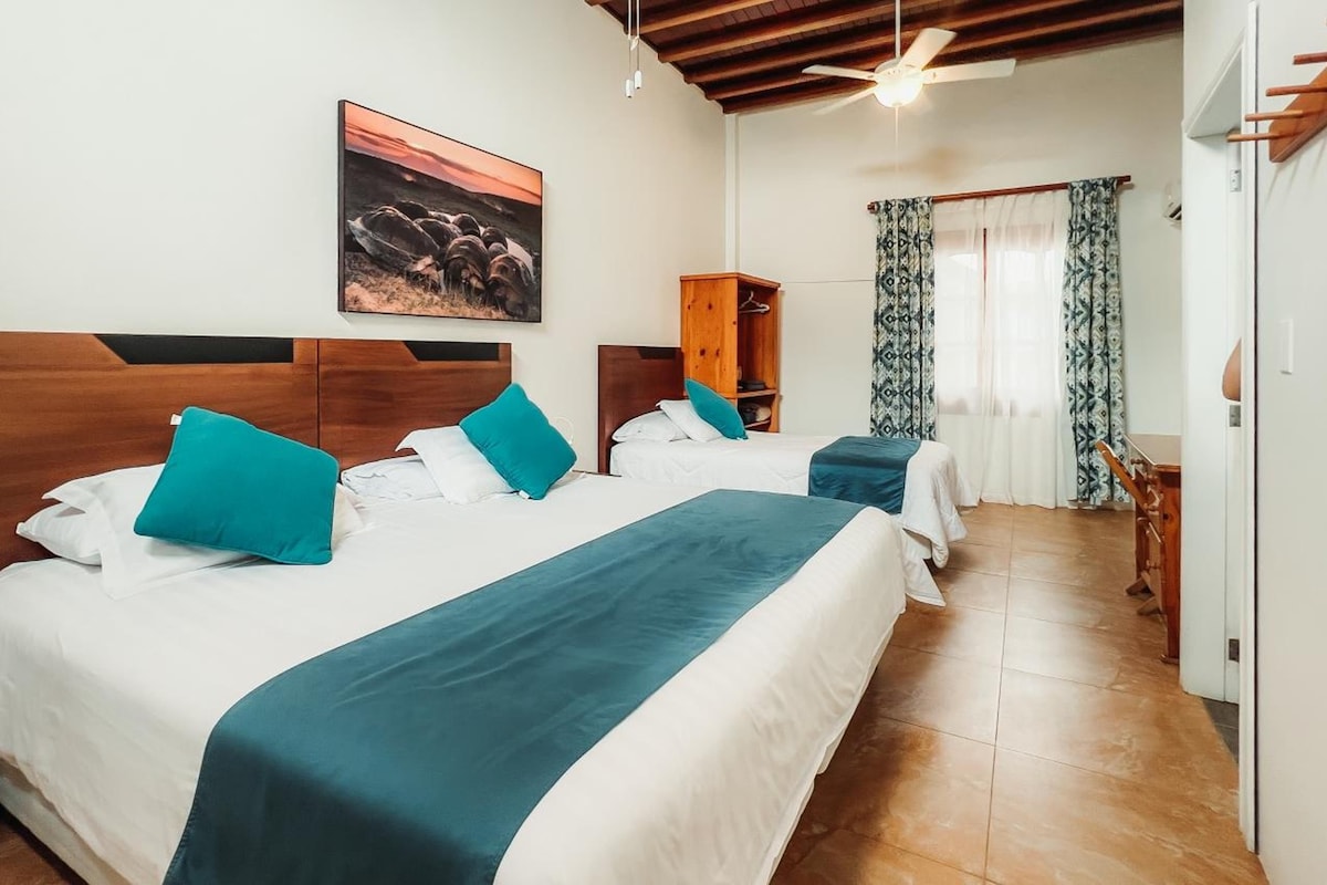 Superior Room, Pool View | Premium bedding, down comforters, pillowtop beds, in-room safe