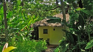 Standard Room | Terrace/patio - Moivaro Coffee Plantation Lodge (Arusha)