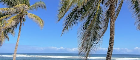 Una spiaggia nelle vicinanze