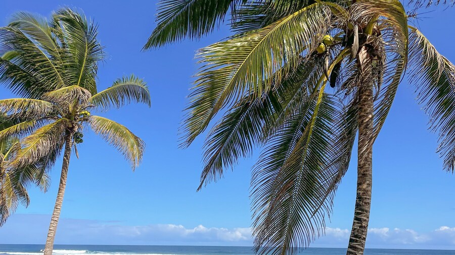 SLABDR Coliving | Once Surf Salvación.