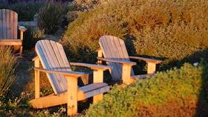 Two wooden Adirondack chairs in a garden setting with dense shrubbery and a wooden fence in the background. - Surf Inn (Gualala)