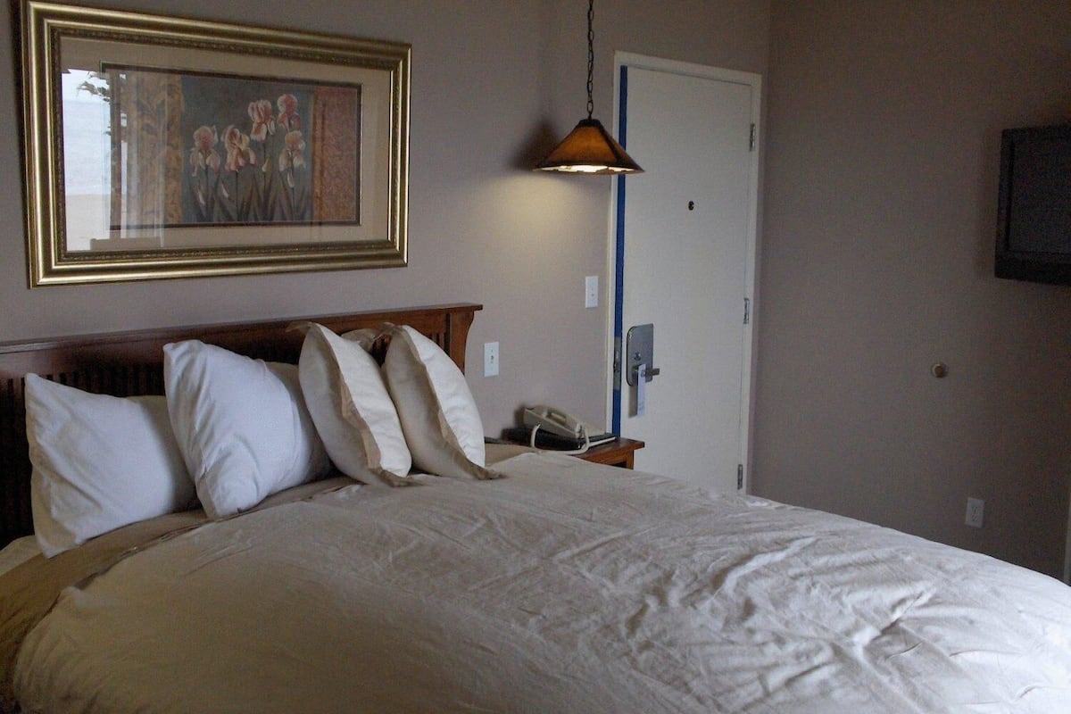 premium bedding, blackout curtains, iron/ironing board, bed sheets