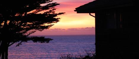 A coastal view at sunset with a silhouette of a house and a tree.