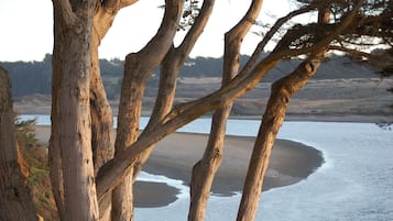 Una spiaggia nelle vicinanze