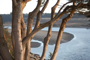 A natural landscape with a river, trees, and a distant shoreline.