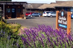 Exterior - Surf Inn (Gualala)