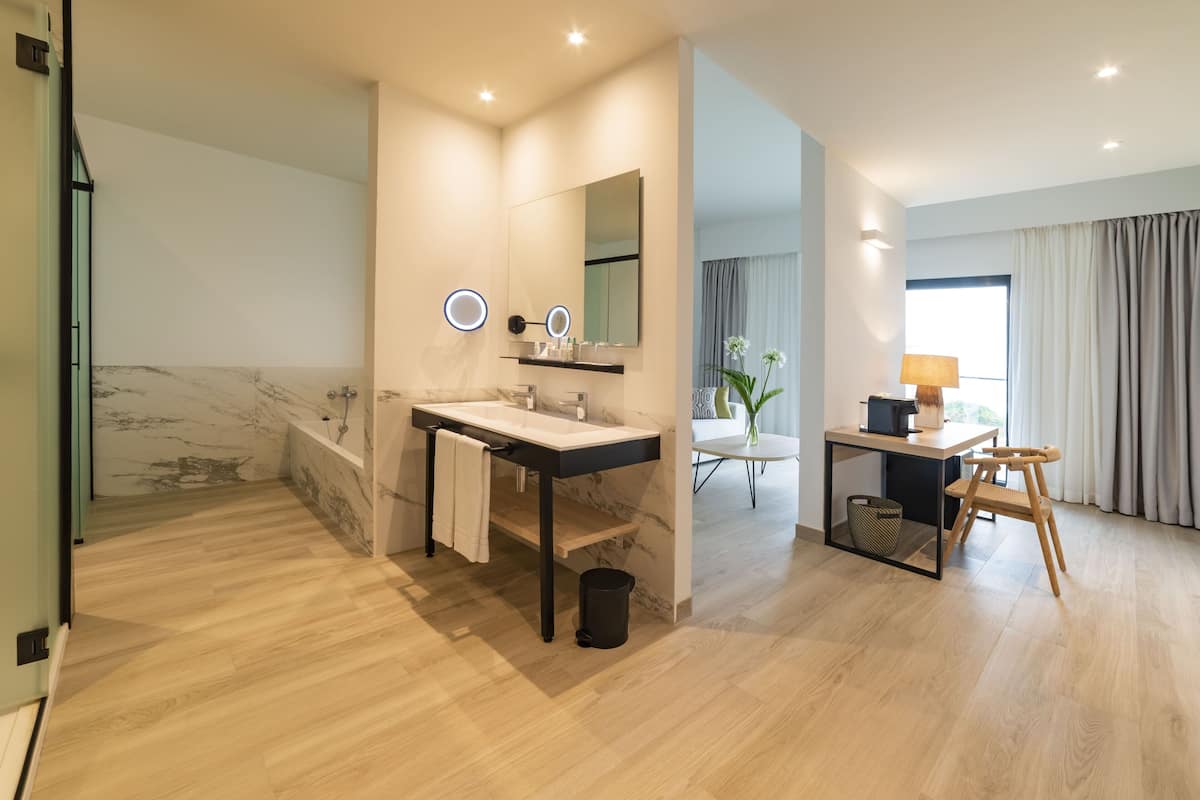 combined shower/bathtub, free toiletries, hair dryer, bidet