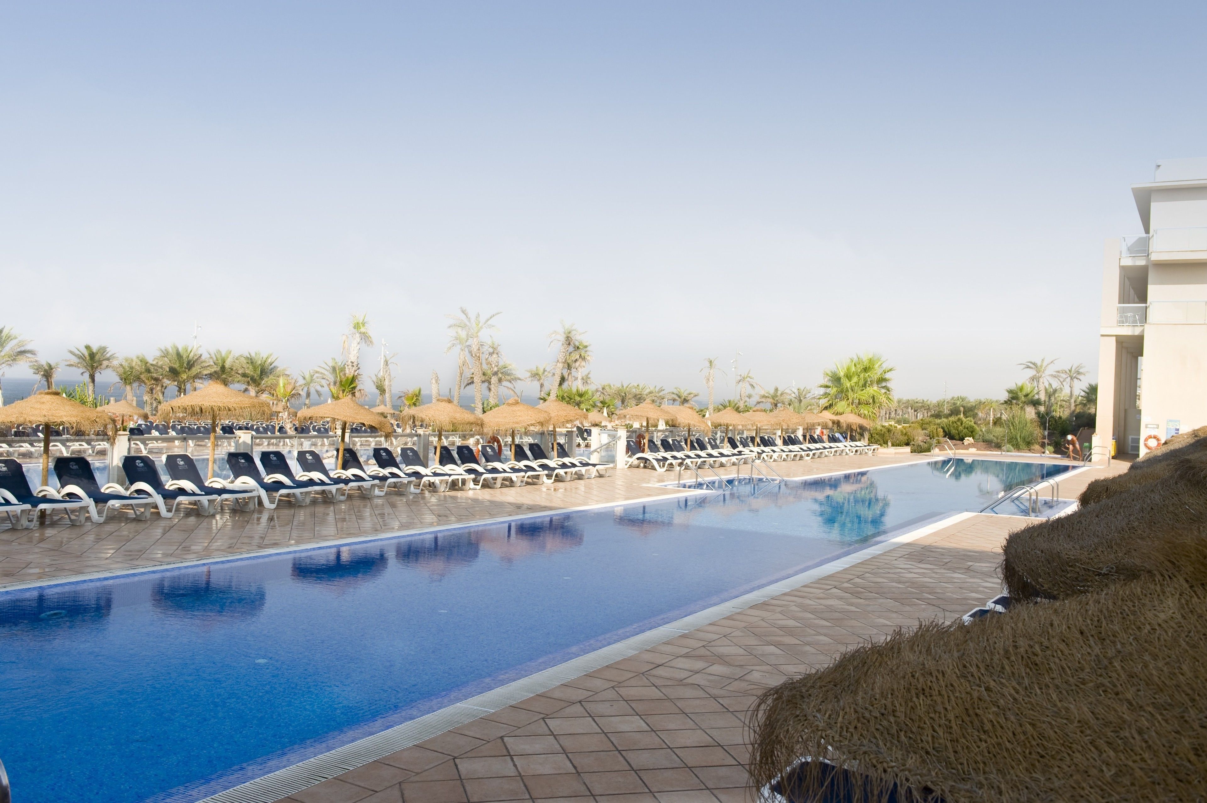 A pool area with lounge chairs and umbrellas, surrounded by palm trees and a clear sky.