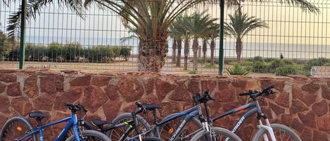 A row of bicycles parked against a stone wall with a palm tree and a fence in the background.